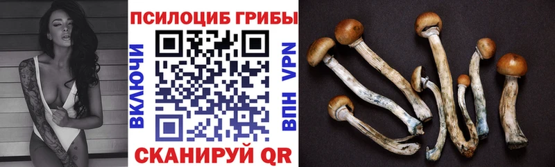 Галлюциногенные грибы ЛСД Междуреченск