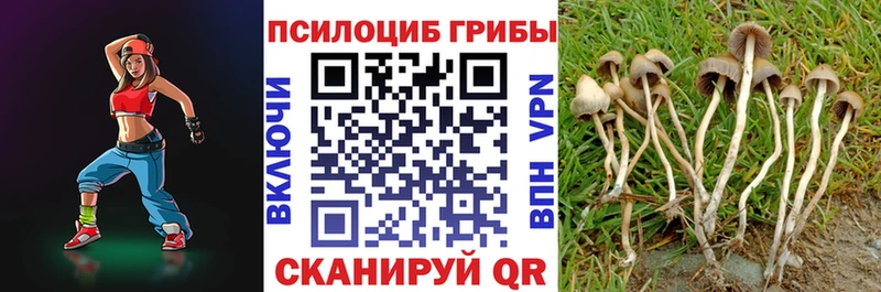 цены   гидра ONION  Псилоцибиновые грибы Cubensis  Междуреченск 
